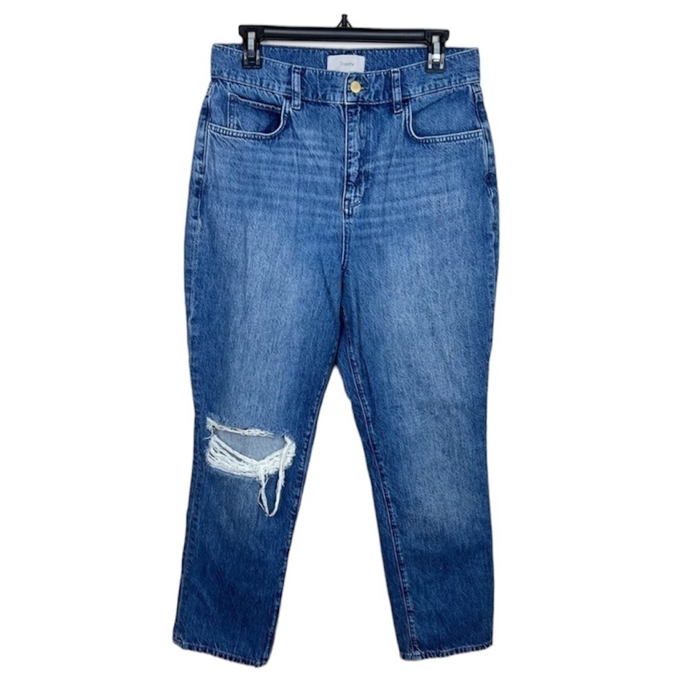 Aritzia Triarchy‎ Loose Fit Straight Leg Jeans